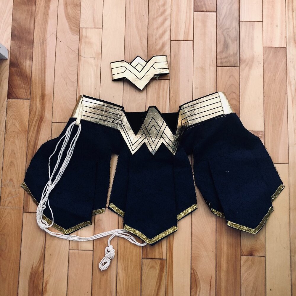 Wonder Woman Costume Adult Woman Large 10-12 Amscan | Dress & Lasso Partial Set